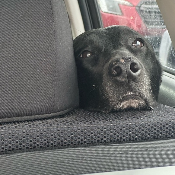 Nice Meeting You - Picture 6 of 6